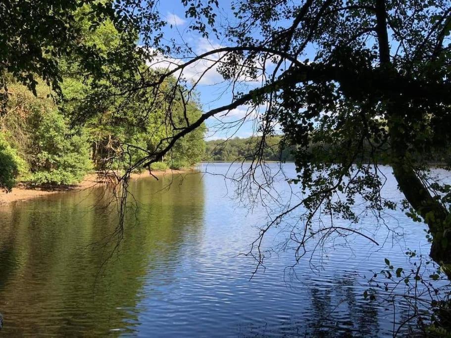 Gite N°4, En Pleine Nature, Frontalier Signy-le-Petit Luaran gambar
